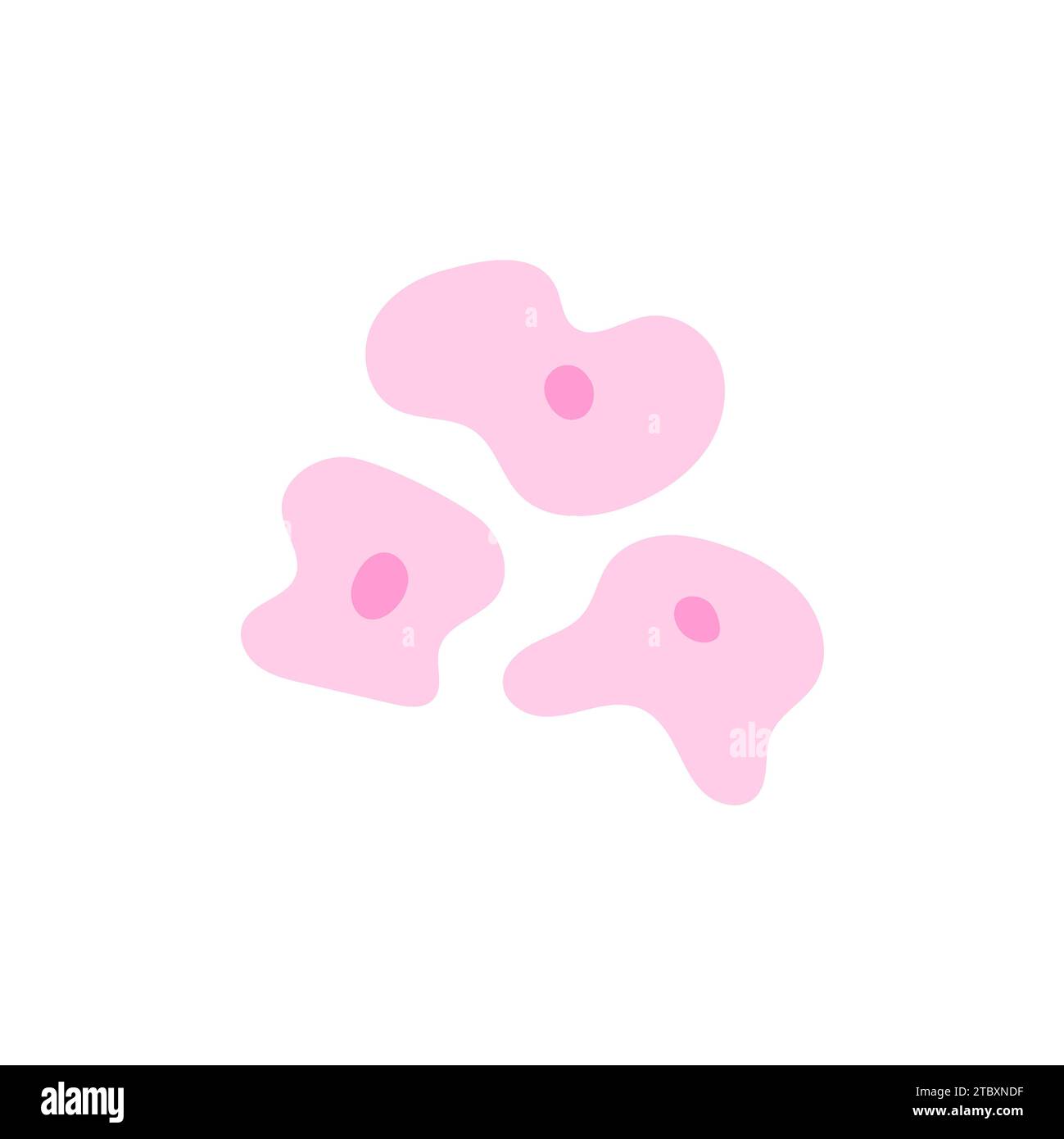 Human stem cell, conceptual illustration Stock Photo - Alamy