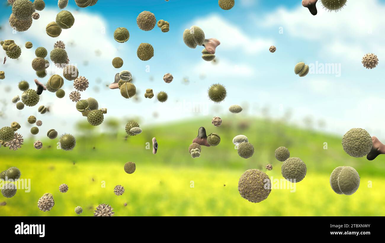 Pollen particles in the air, illustration Stock Photo - Alamy