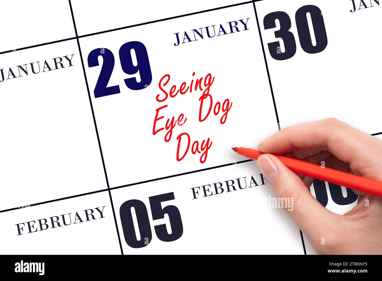 January 29. Hand writing text Seeing Eye Dog Day on calendar date. Save the date. Holiday. Day