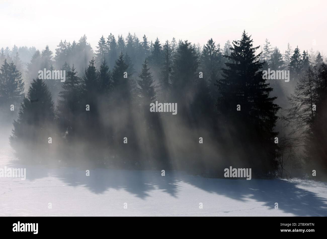 Rettenbach, Germany. 09th Dec, 2023. Rays of sunlight penetrate the fog in the wintry landscape. Credit: Karl-Josef Hildenbrand/dpa/Alamy Live News Stock Photo