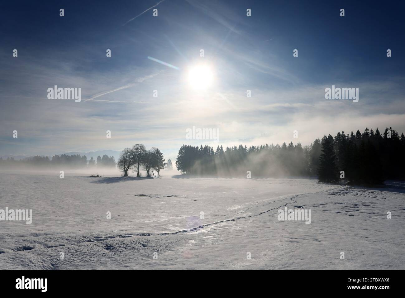 Rettenbach, Germany. 09th Dec, 2023. The sun stands over the wintry landscape. Credit: Karl-Josef Hildenbrand/dpa/Alamy Live News Stock Photo