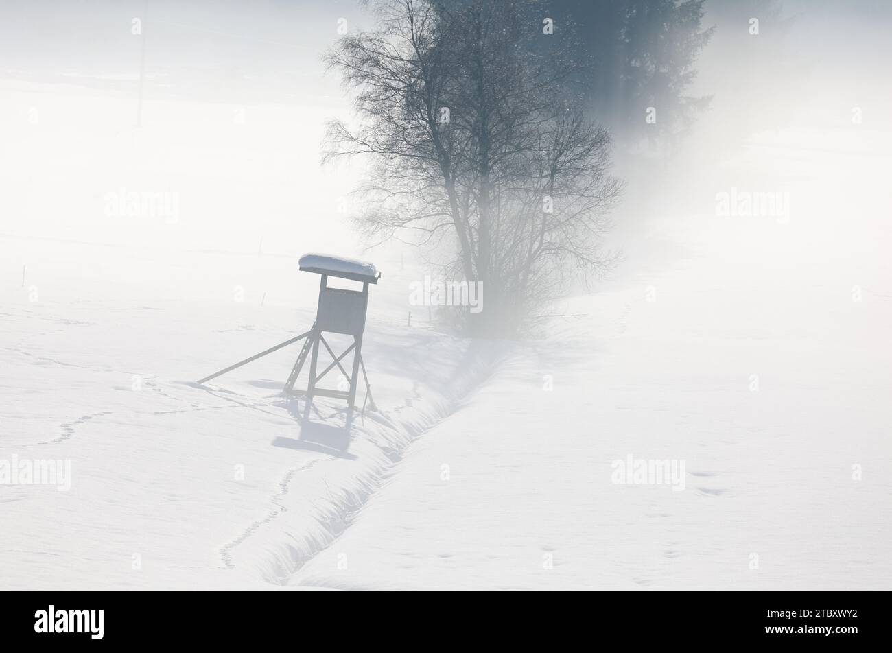 Rettenbach, Germany. 09th Dec, 2023. Fog clears over a hunter's lodge in a wintry landscape. Credit: Karl-Josef Hildenbrand/dpa/Alamy Live News Stock Photo