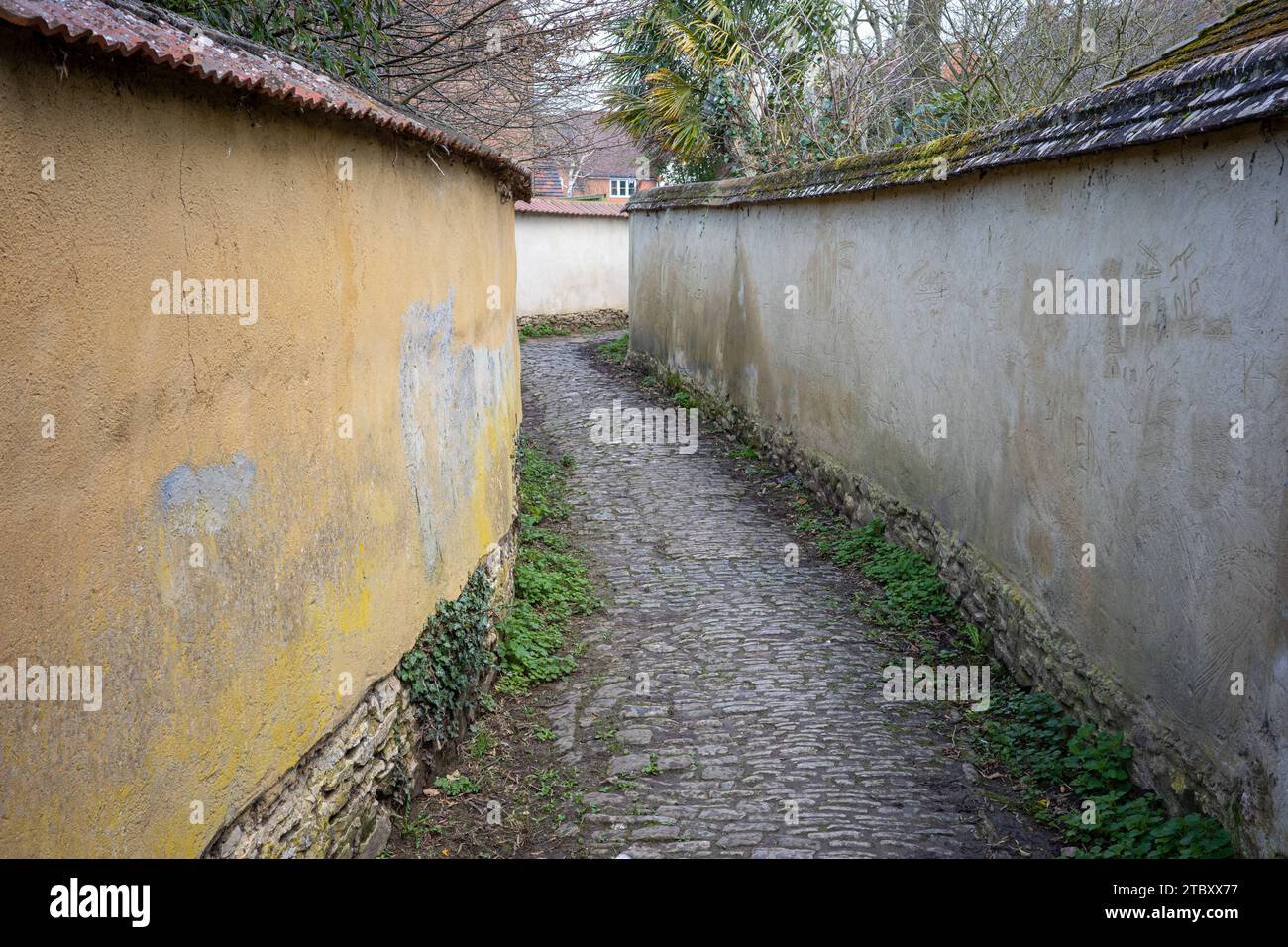Cobbled path between walled properties in Haddenham, Oxfordshire Stock