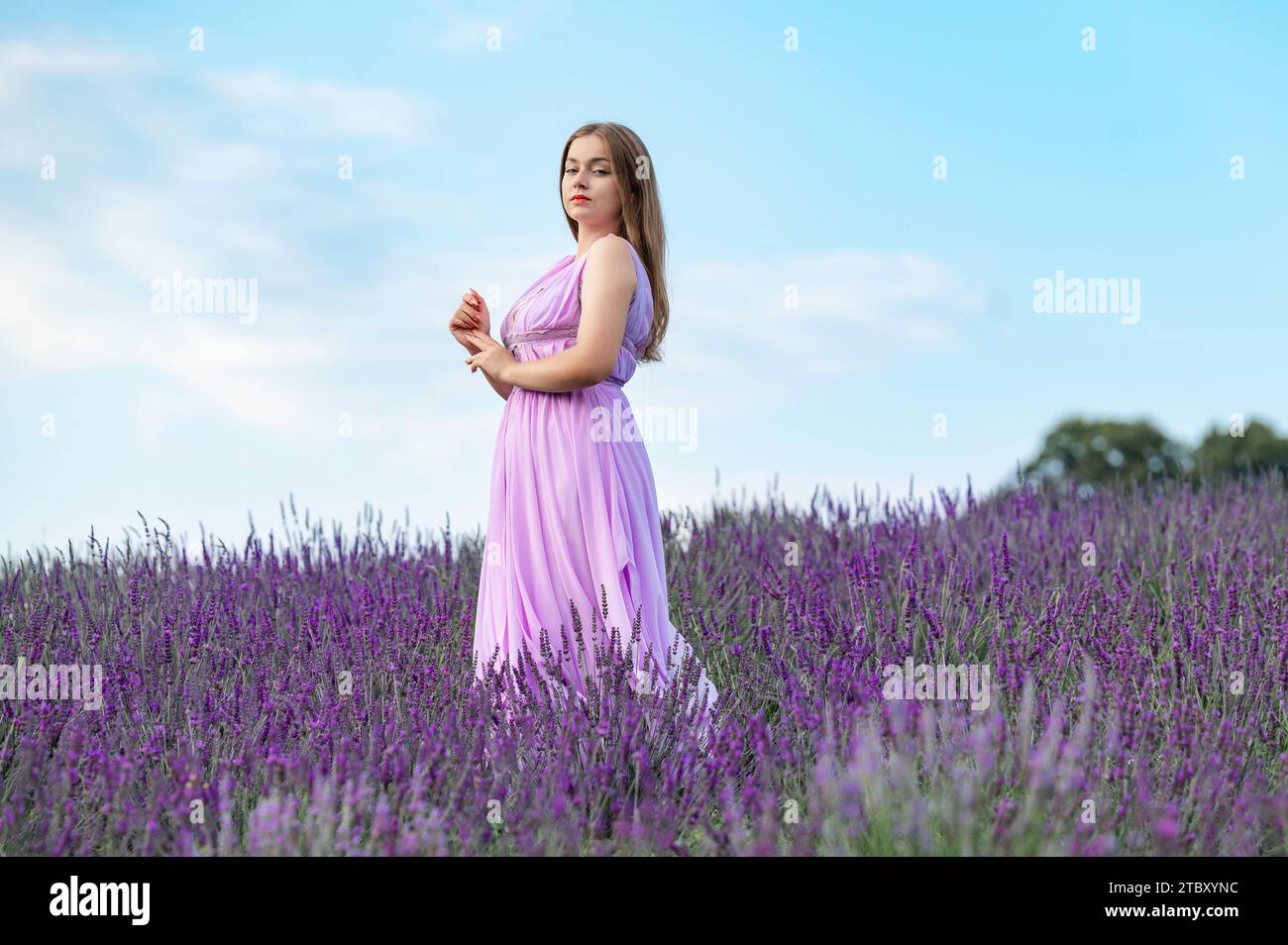 Ivano-Frankivsk, Ukraine August 5, 2023: a girl in a long purple dress walks through a lavender field, posing during a photo shoot in a lavender field Stock Photo