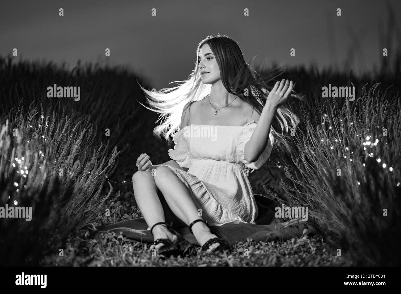 Ivano-Frankivsk, Ukraine July 28, 2023: The girl is sitting on the grass between rows of lavender, lavender bushes and flowers are illuminated by garl Stock Photo