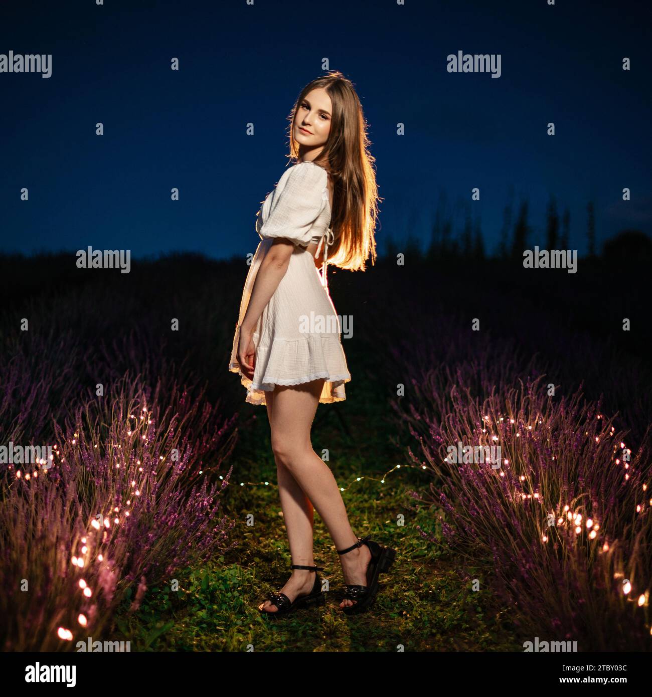 Ivano-Frankivsk, Ukraine July 28, 2023: The girl is between rows of lavender, lavender bushes and flowers are illuminated by garlands, aromatherapy in Stock Photo