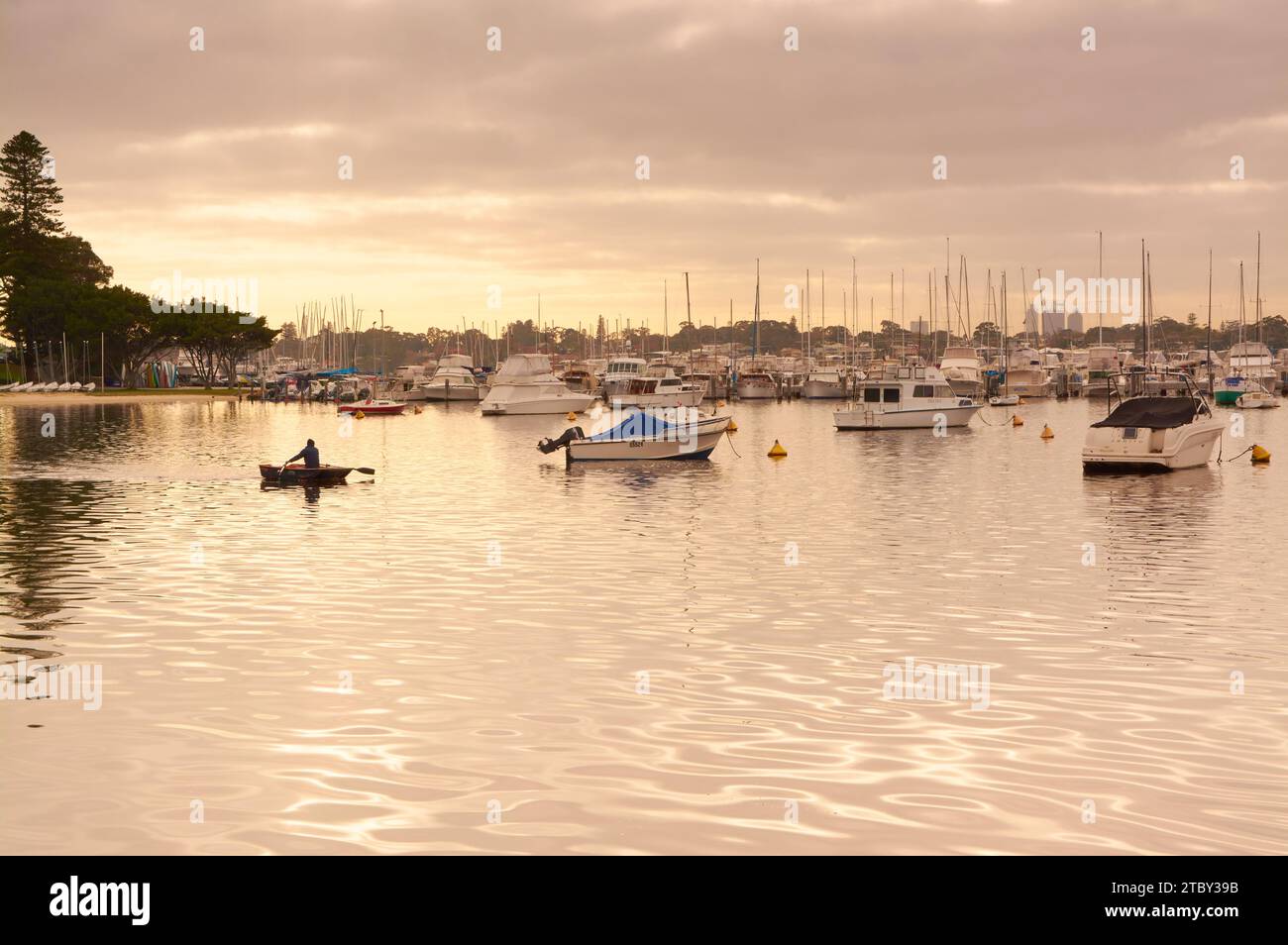 Man rowing a boat in golden light past boats and yachts at the
