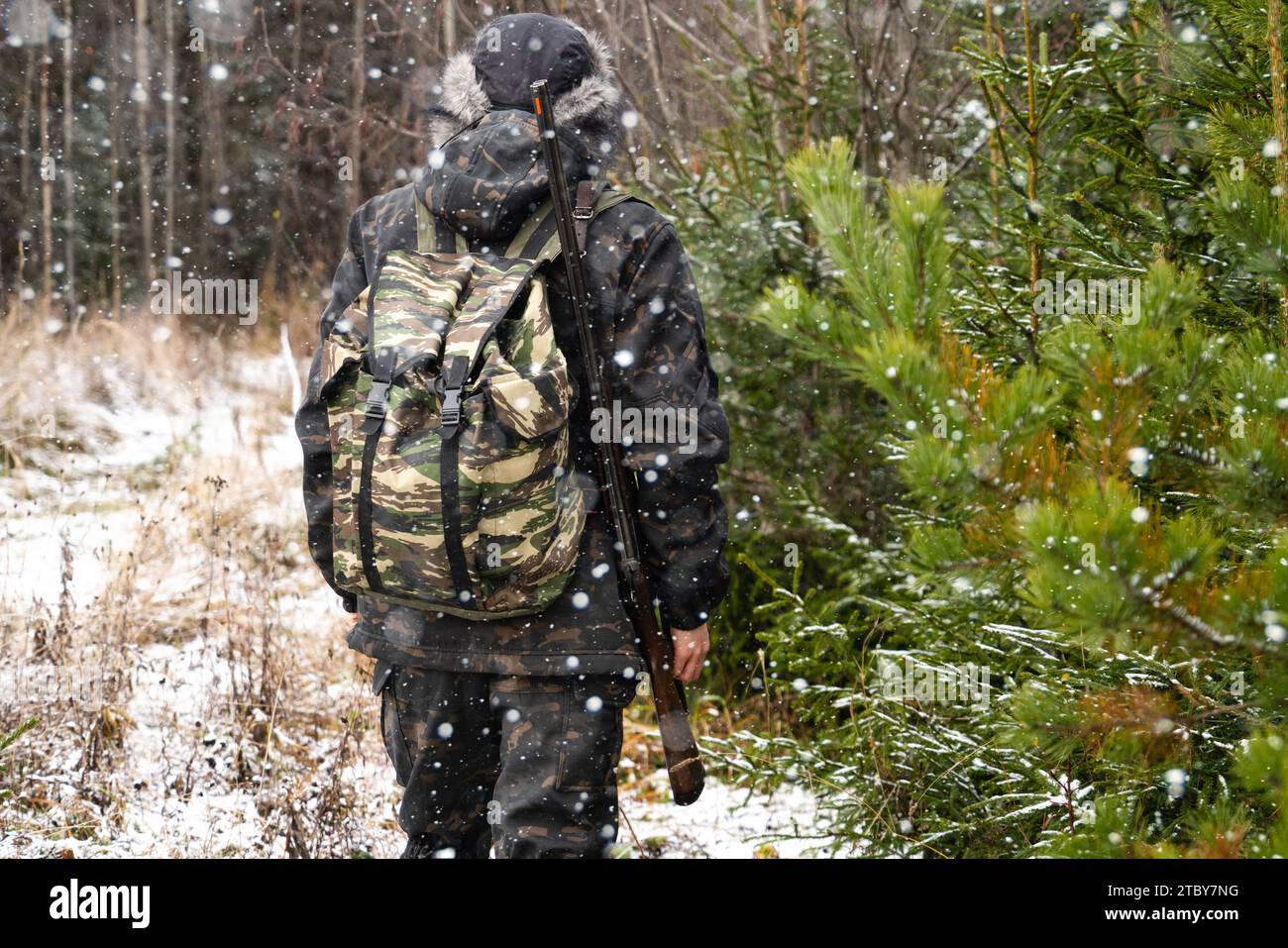 Male hunter in camouflage and with backpack, armed with a rifle, walks through the snowy winter forest.. Stock Photo