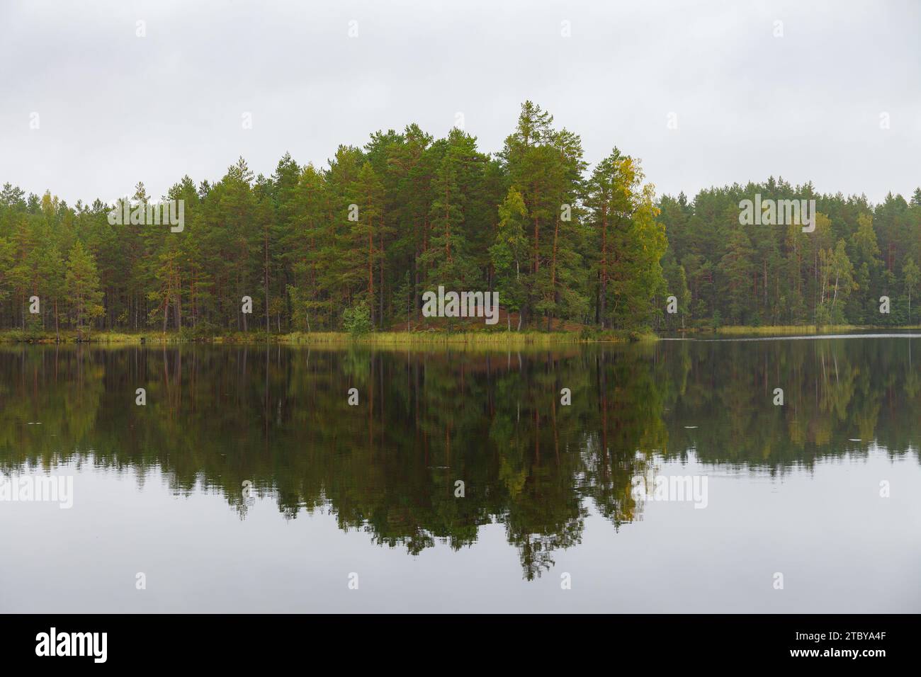 Cedar lake hi-res stock photography and images - Alamy