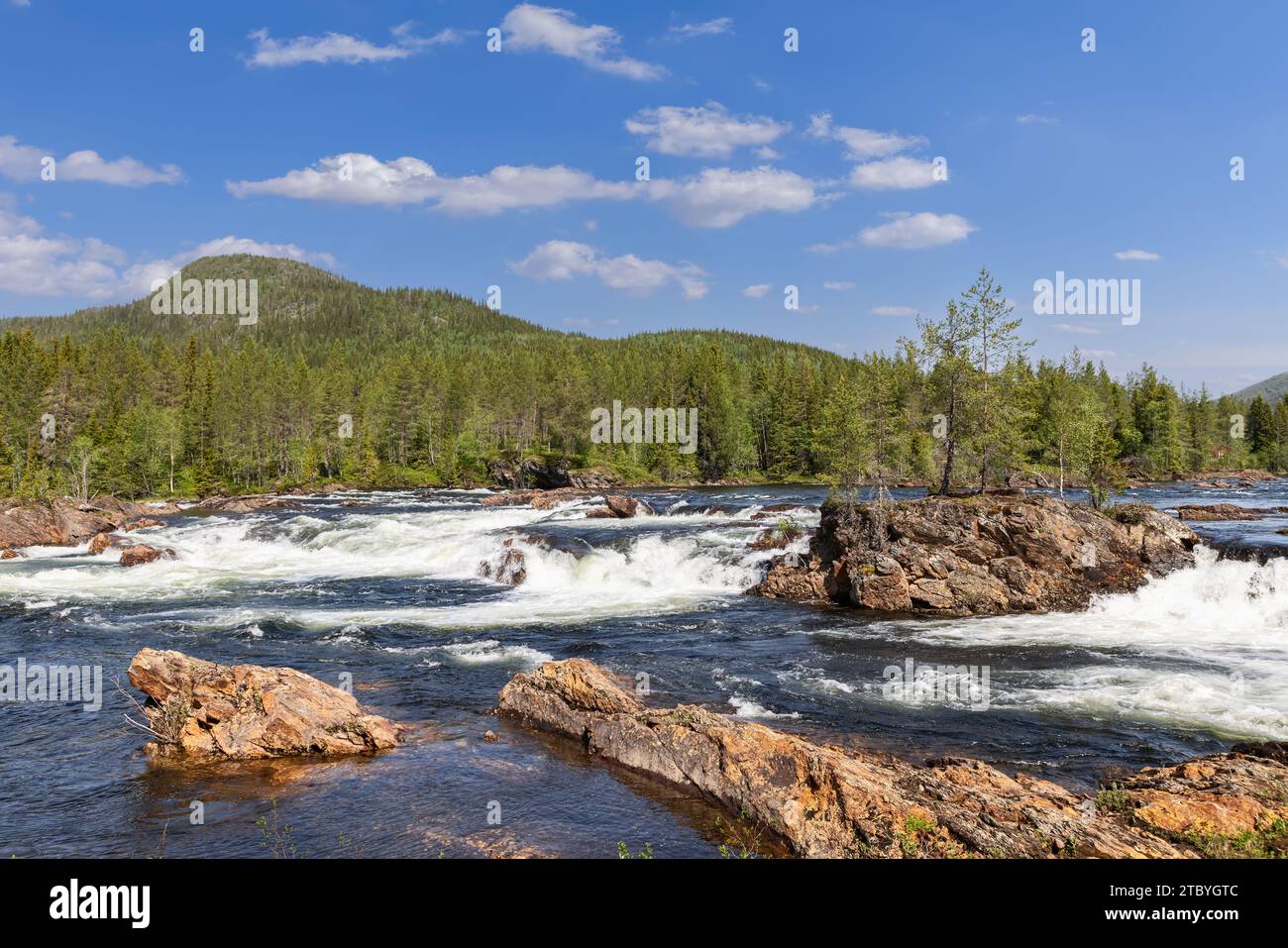 Solitary trees sprout from large rocks amidst the cascades of the Namsen River in Namsskogan, Trondelag, Norway, flanked by dense forests under a sunl Stock Photo