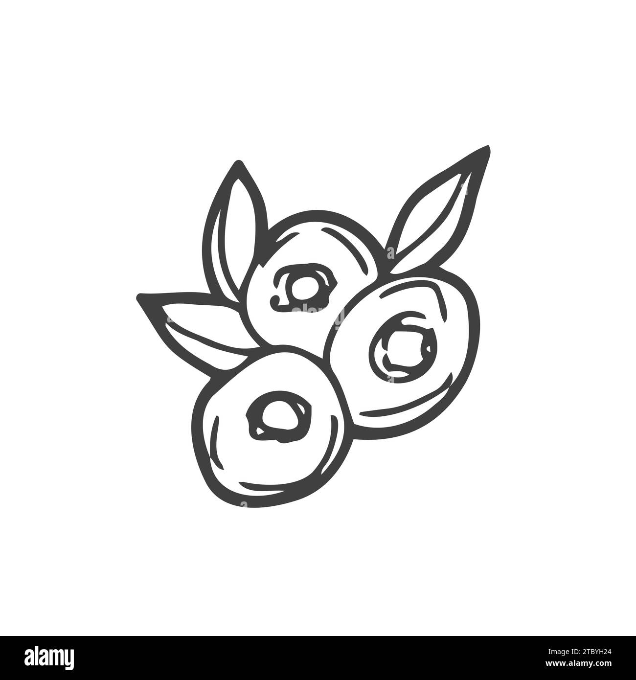 Blueberry and lingonberry. Black line sketch collection of fruits and berries isolated on white