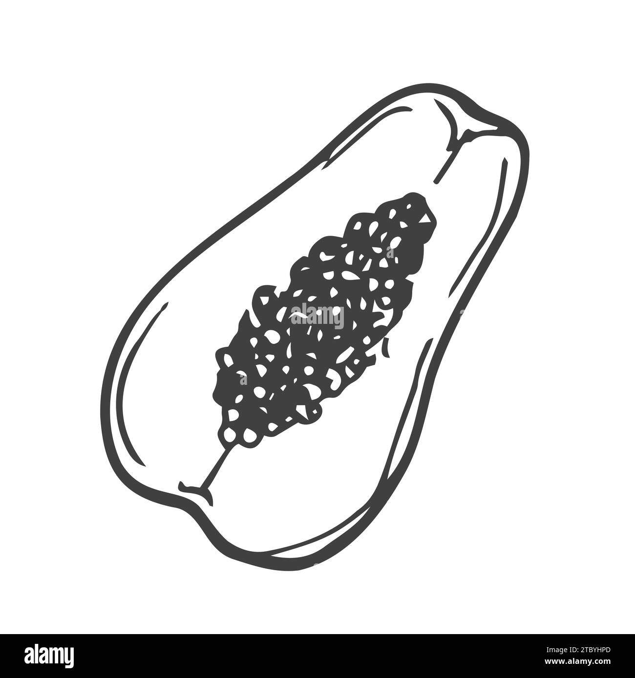 Papaya fruit in doodle style, linear art. Design element isolated on white background. Stock Vector