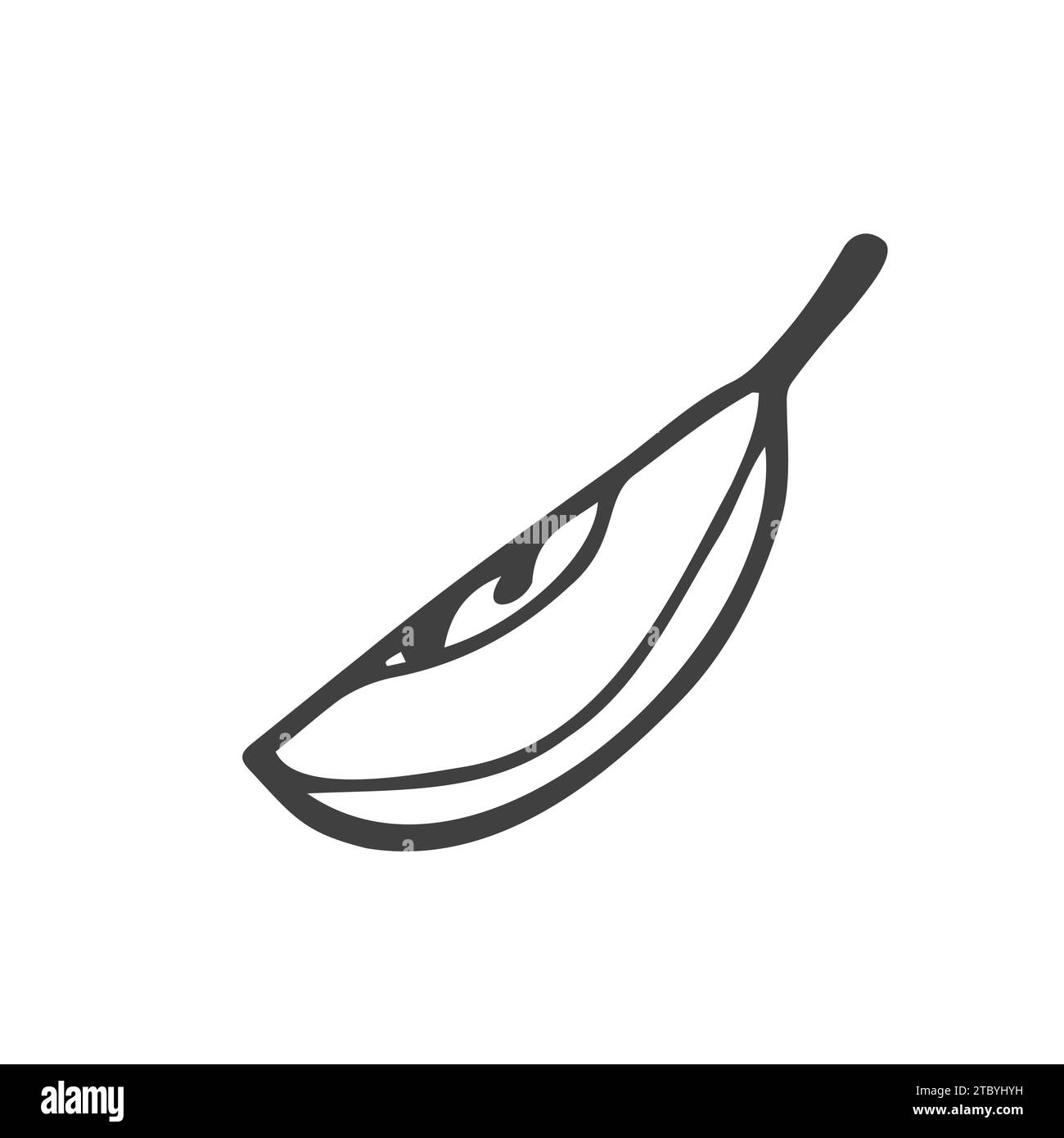 Apple slice illustration. Doodle simple apple sketch Stock Vector