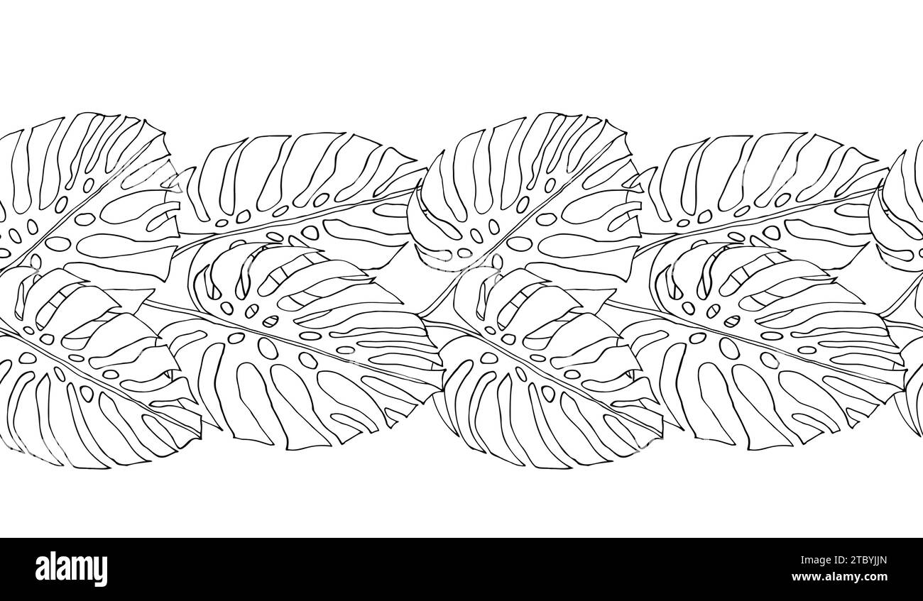 Monstera jungle leaves banner, floral seamless boarder for fabric