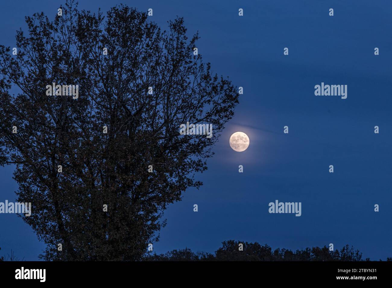 La Contie - Soir de pleine lune en automne Stock Photo