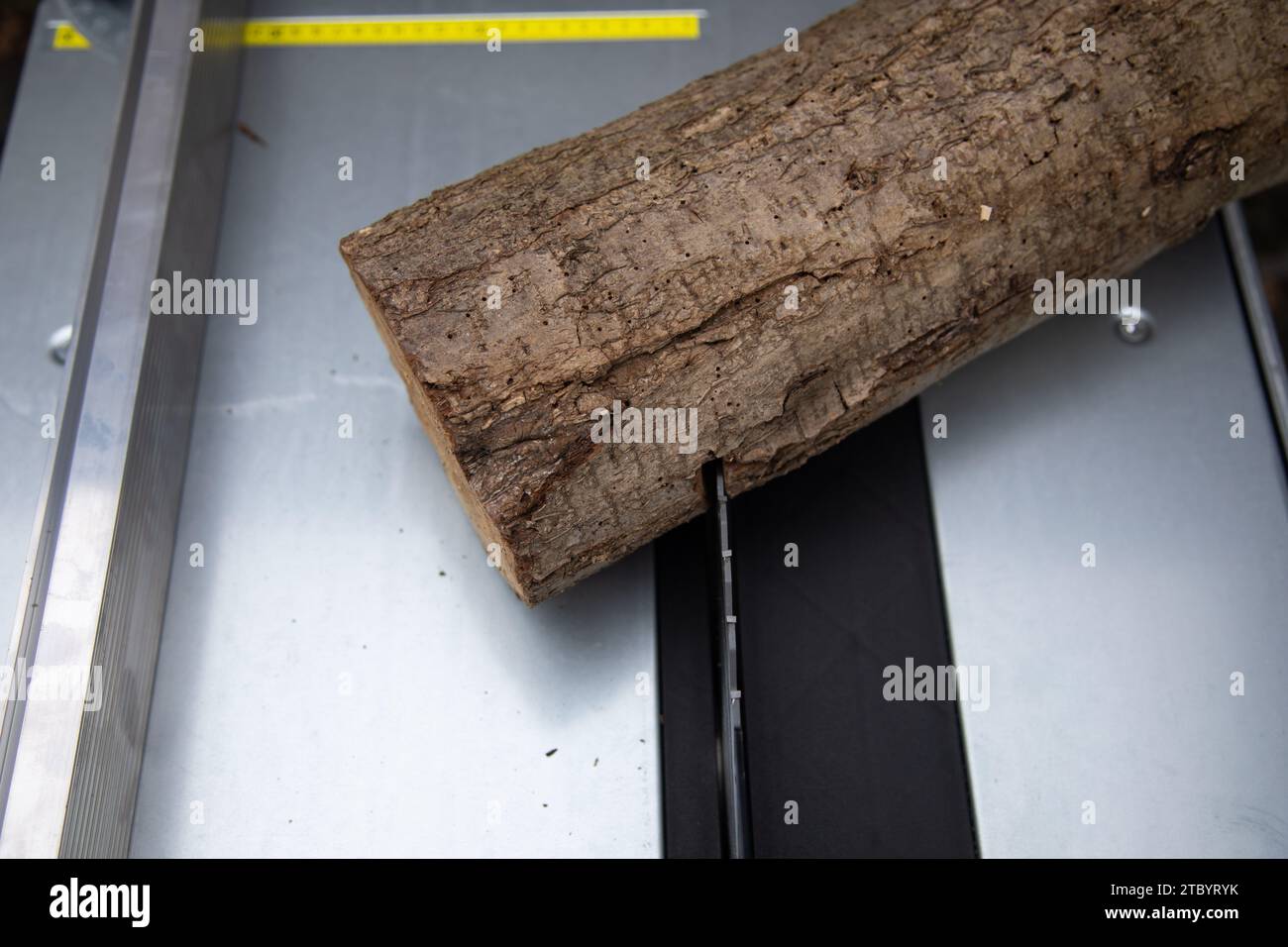 Holzstamm mit einer Kreissäge in zwei Teile sägen Stock Photo