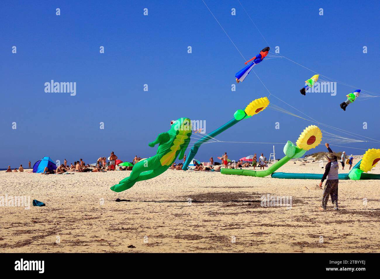 Giant kite flying hi-res stock photography and images - Alamy