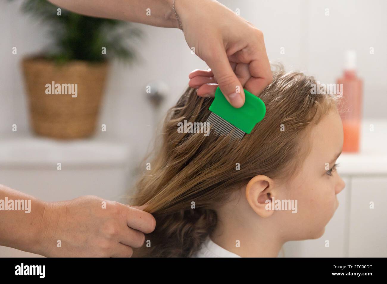A woman helps to get rid of lice and parasites on the head of a little