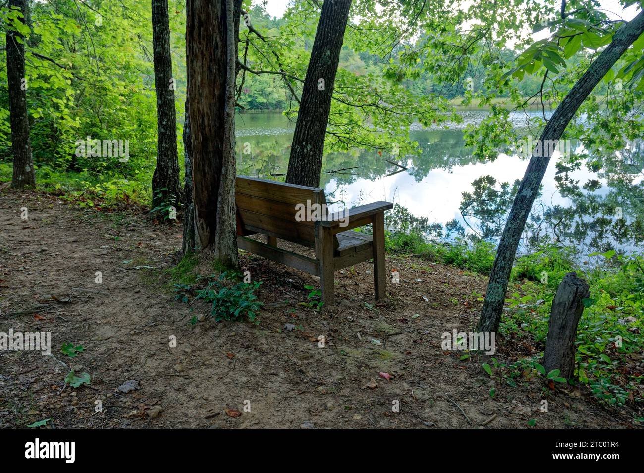 Along the trail is a sitting bench looking out at the lake in the forest in a shaded area in late summertime Stock Photo