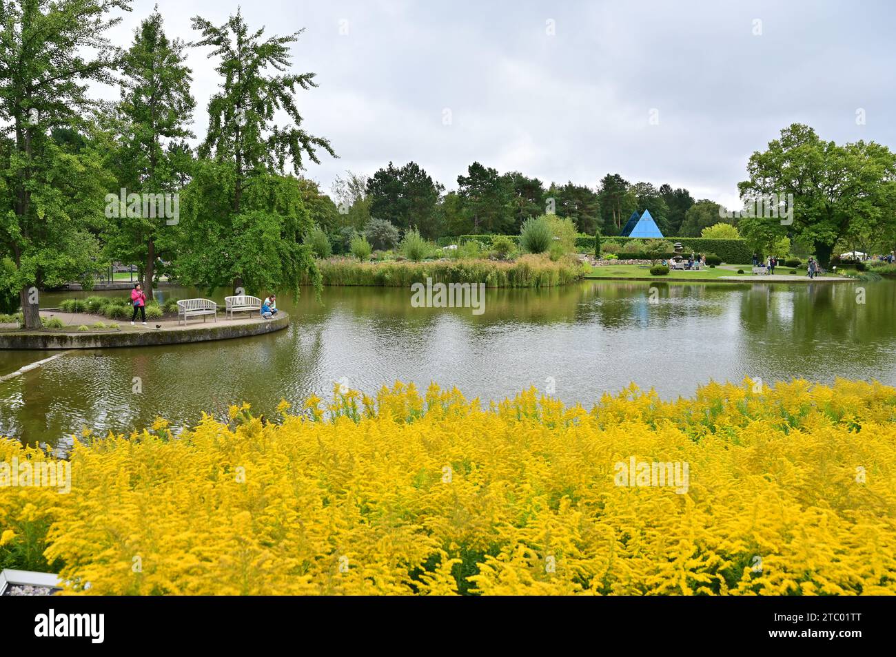 The Botanical Garden (Loki Schmidt Garden) in Hamburg, Germany Stock