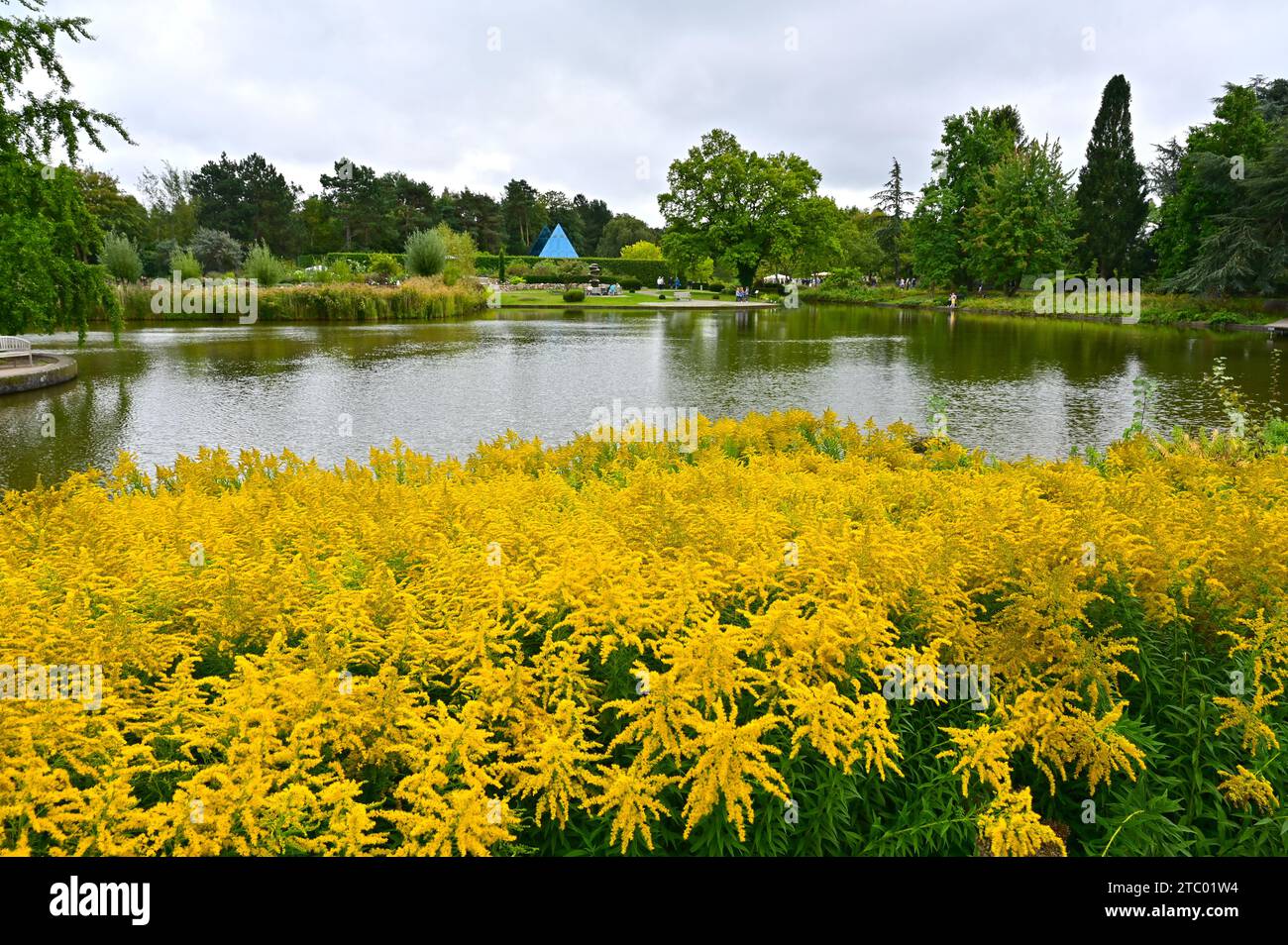 The Botanical Garden (Loki Schmidt Garden) in Hamburg, Germany Stock