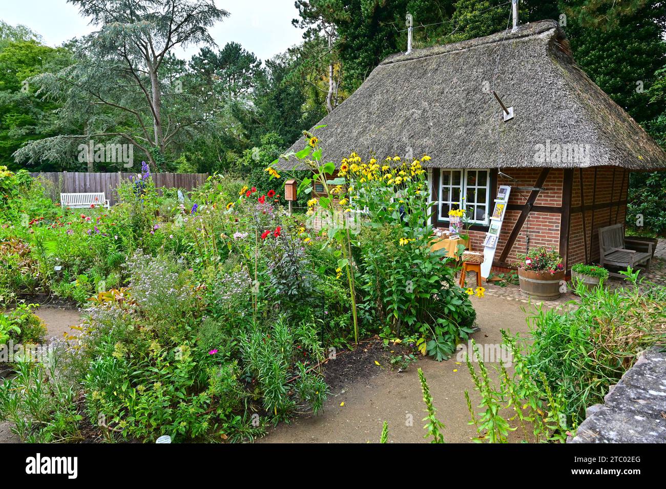 The Botanical Garden (Loki Schmidt Garden) in Hamburg, Germany Stock