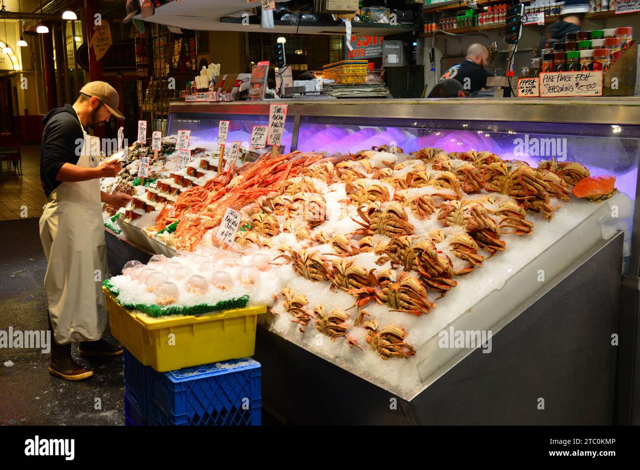A market vendor examines the fresh fish catch and packs them in ice at
