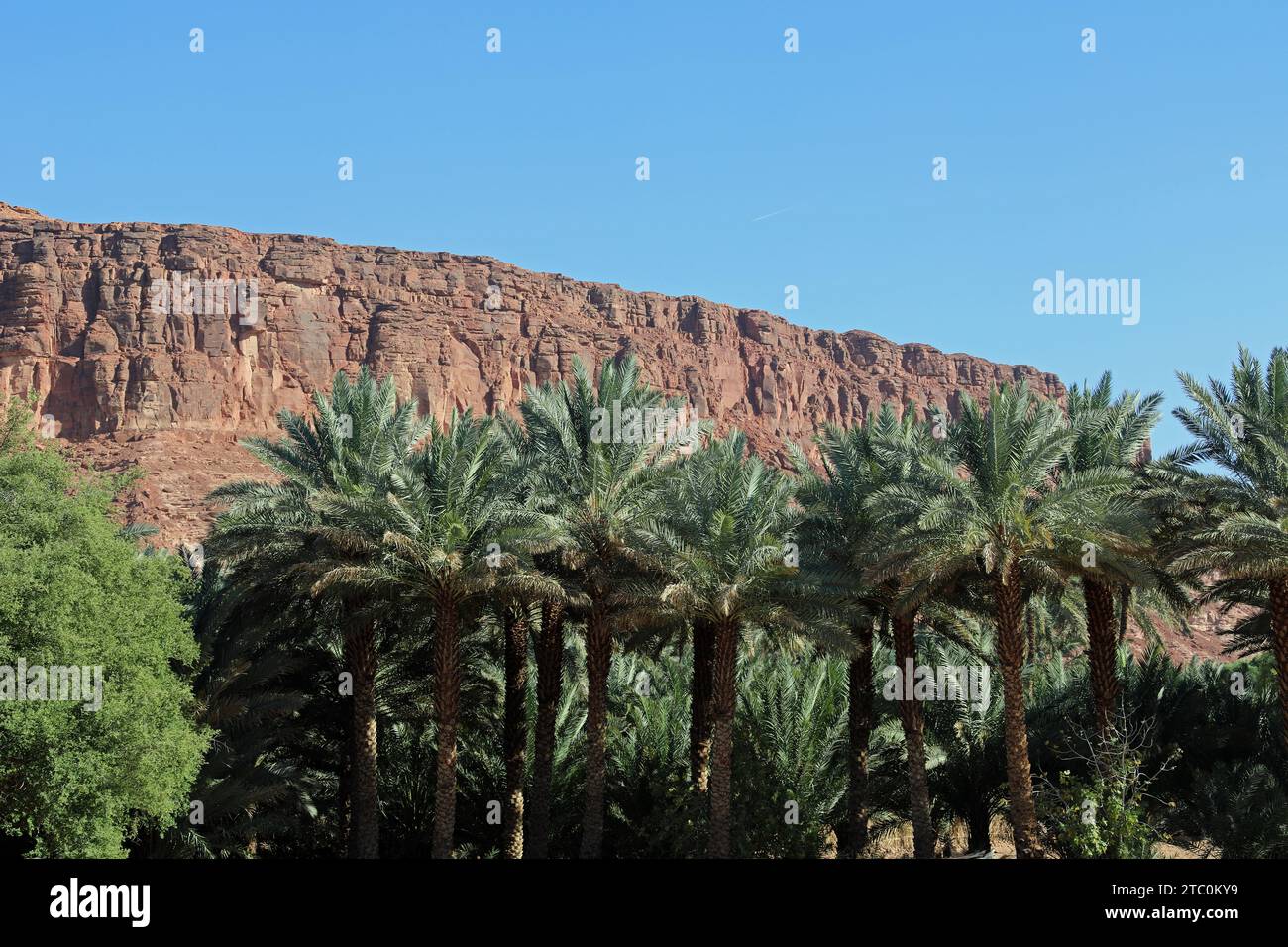 Al Ula Oasis in Saudi Arabia Stock Photo