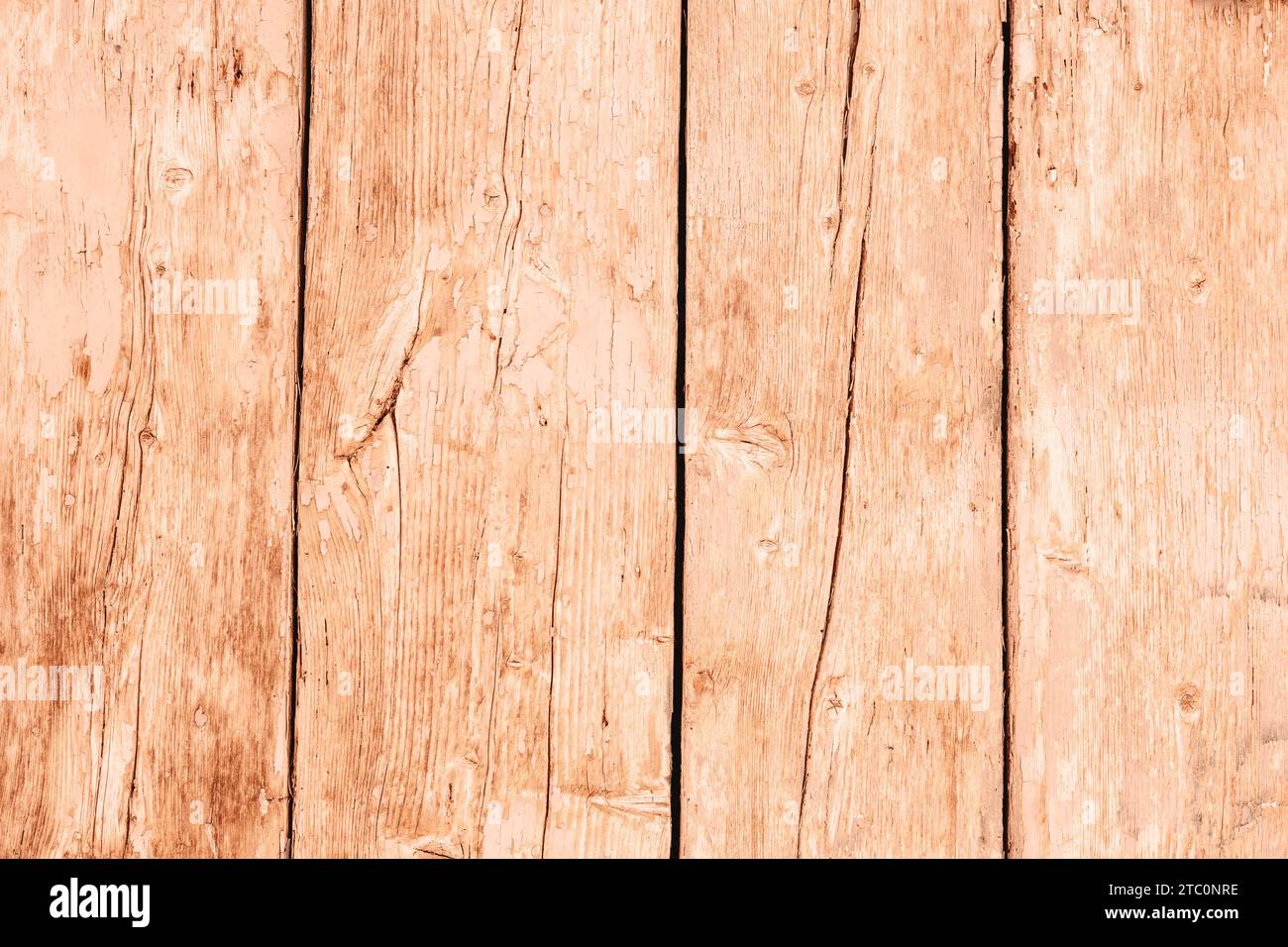 Old shabby wooden door background, texture. Demonstrating color of the year 2024 Peach Fuzz. Stock Photo