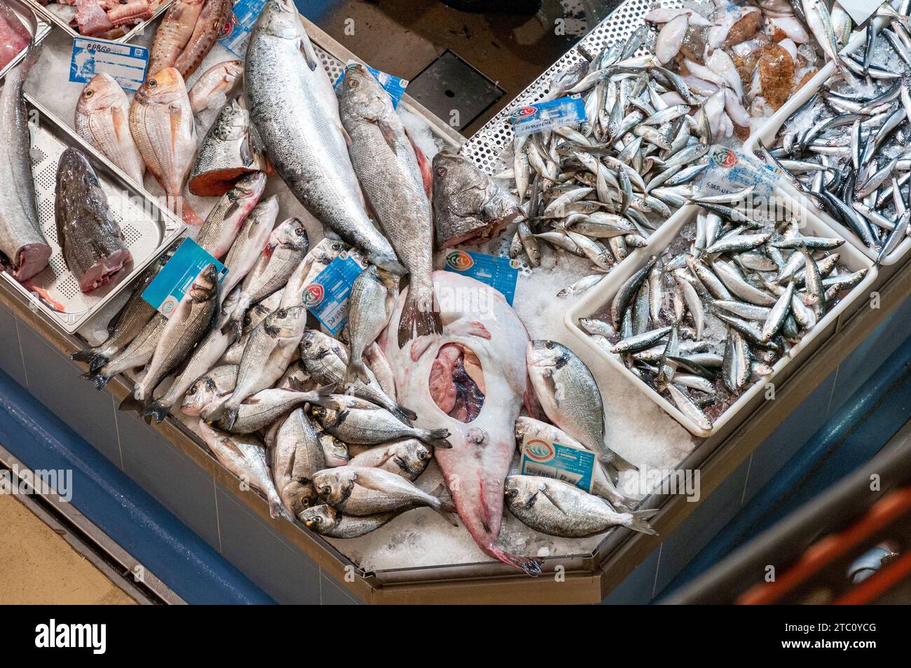 Stand with different varieties of fish at a fish market, Figueira da Foz, Portugal Stock Photo