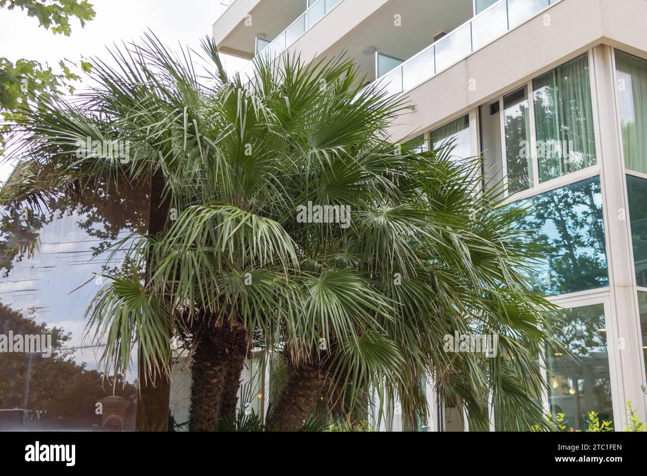 Outdoorspace hi-res stock photography and images - Alamy