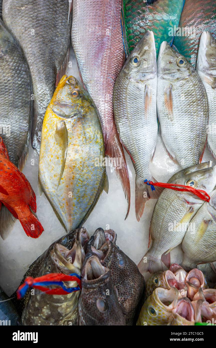 Colorful fish at a stand at a seafood market in Jeddah, Saudi Arabia. Stock Photo