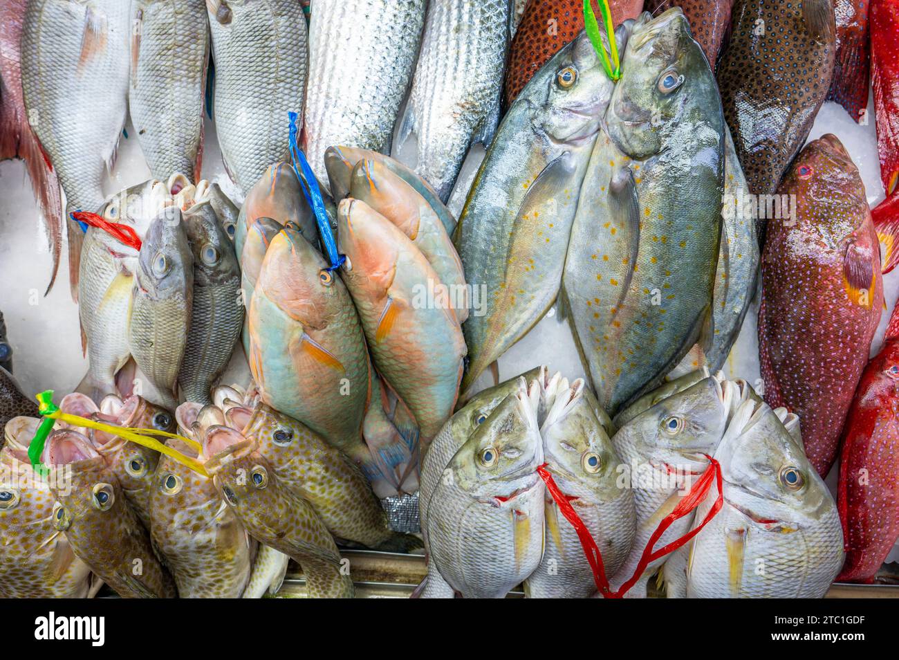 Colorful fish at a stand at a seafood market in Jeddah, Saudi Arabia Stock Photo Alamy