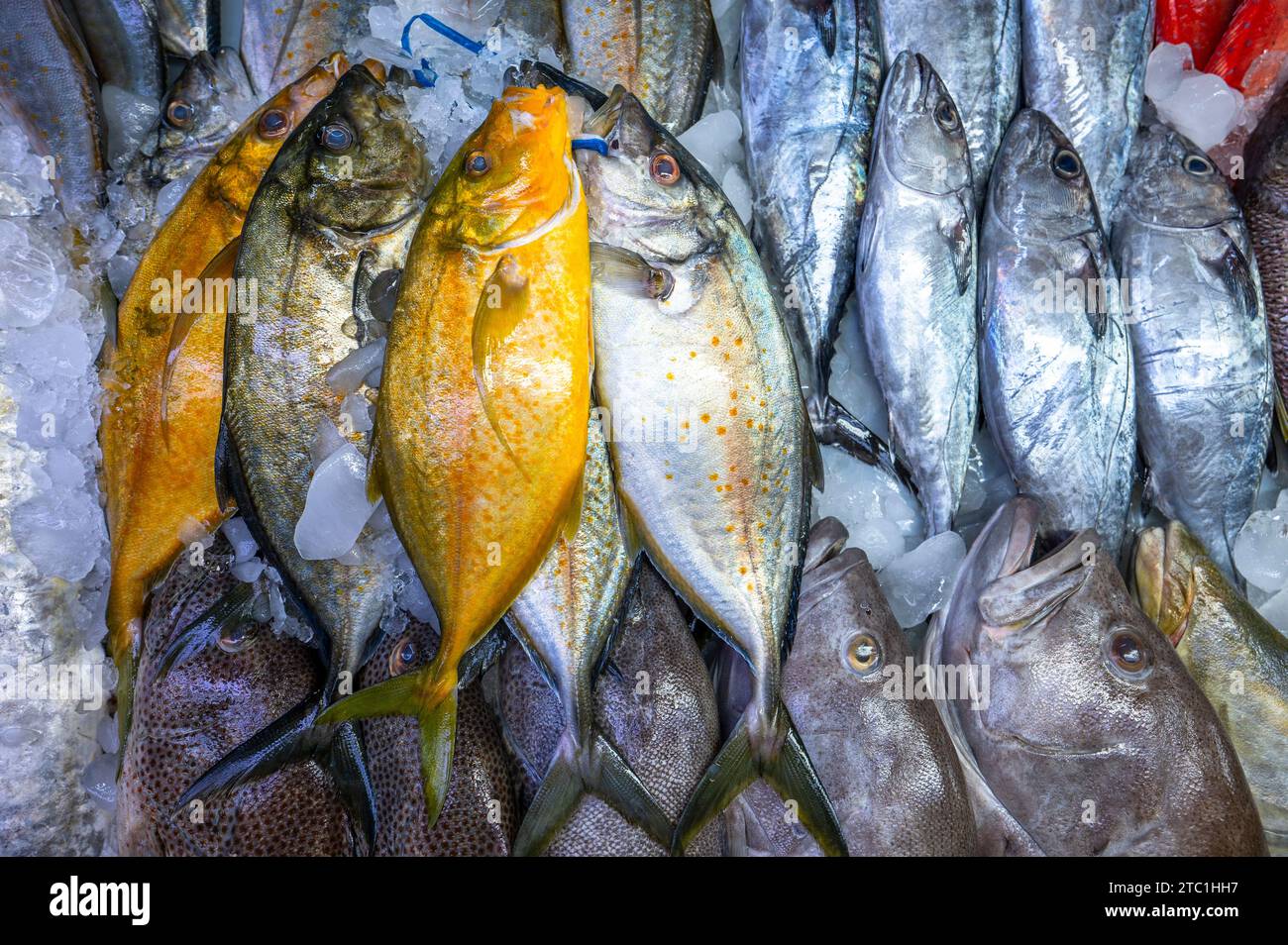 Colorful fish at a stand at a seafood market in Jeddah, Saudi Arabia. Stock Photo