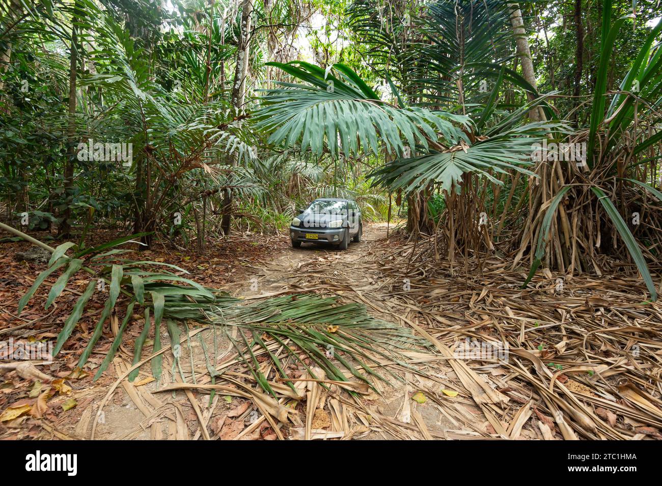 Dirt road through the forest in Christmas Island National Park, Australia Stock Photo