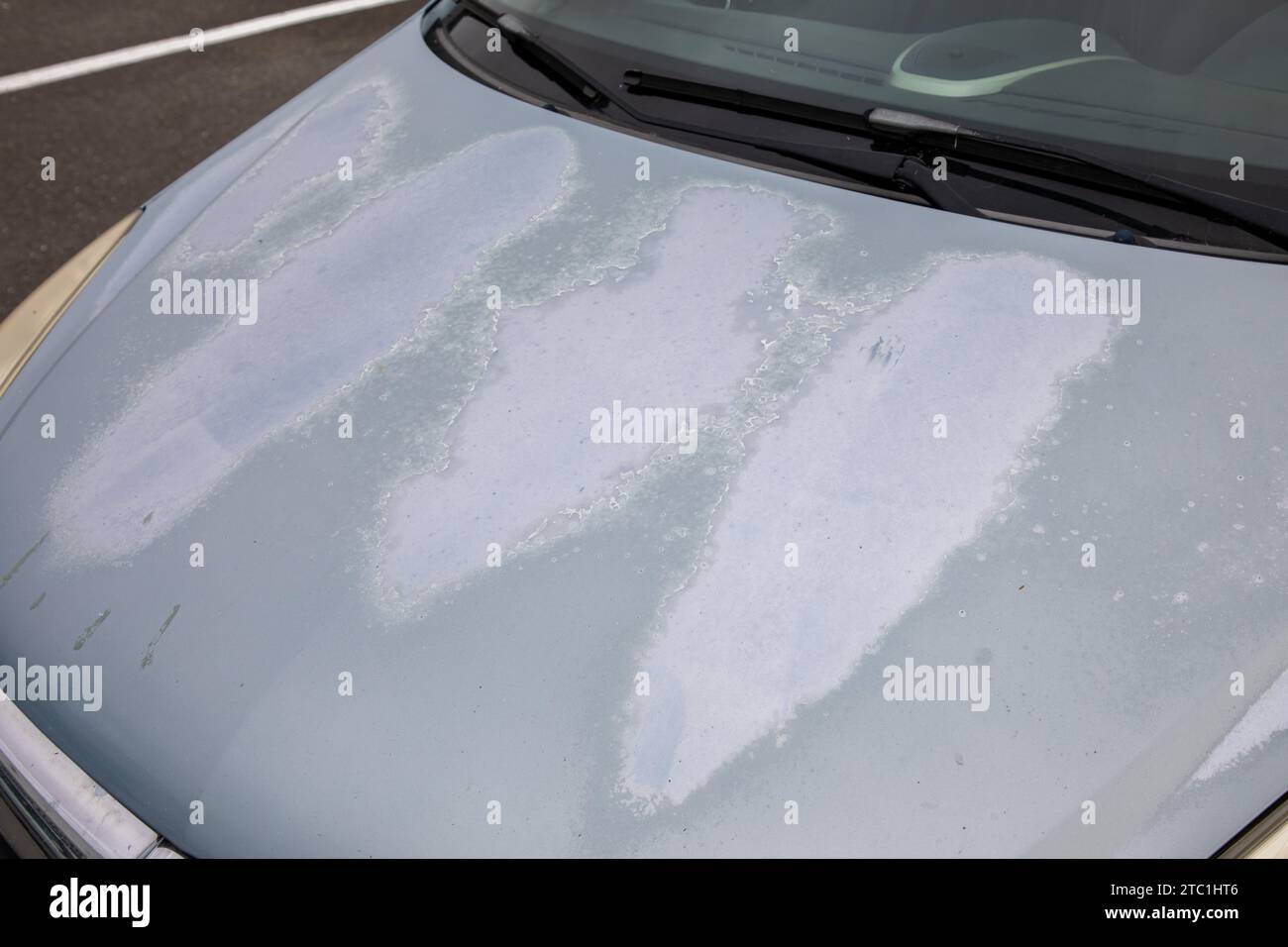 old car engine hood grey used paint worn by time season and sun