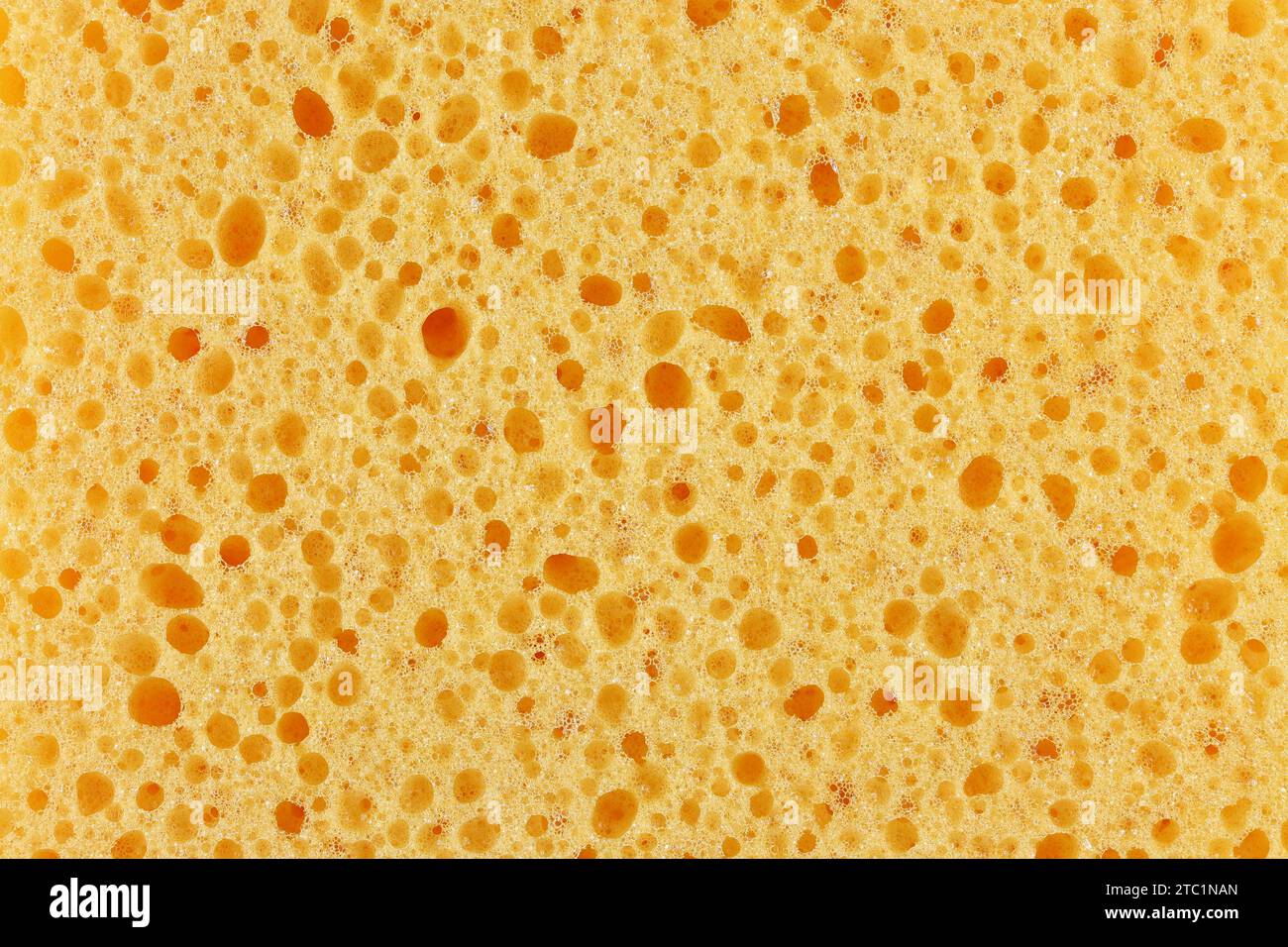 household sponge for background use Stock Photo