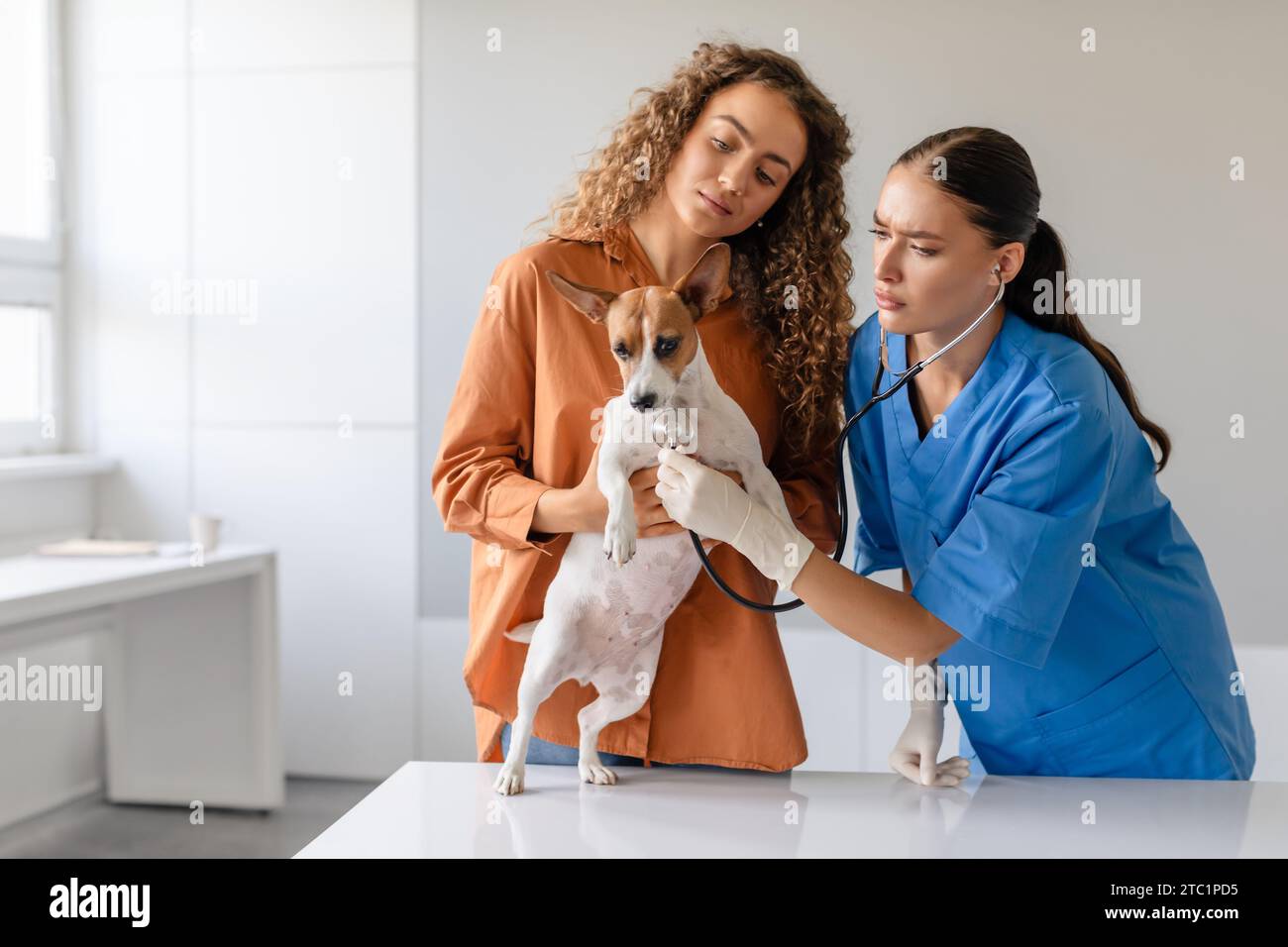 Vet examining dog held by worried owner Stock Photo - Alamy
