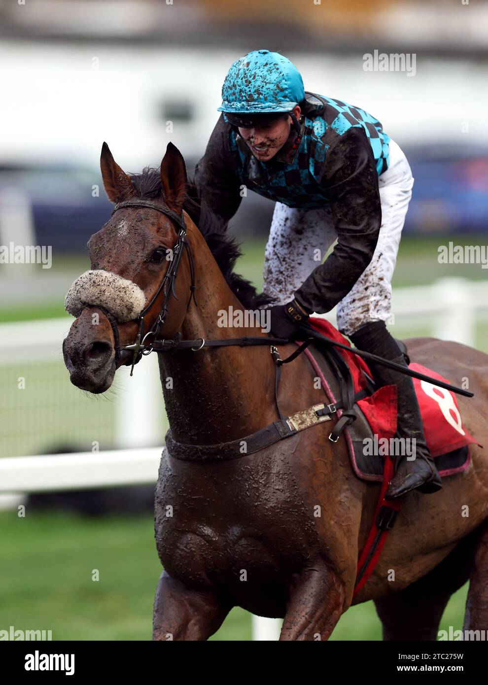 Operation Manna ridden by jockey Cameron Iles on their way to winning the Pertemps Network Handicap Hurdle during day two of The Betfair Tingle Creek Festival at Sandown Park Racecourse, Esher. Picture date: Saturday December 9, 2023. Stock Photo