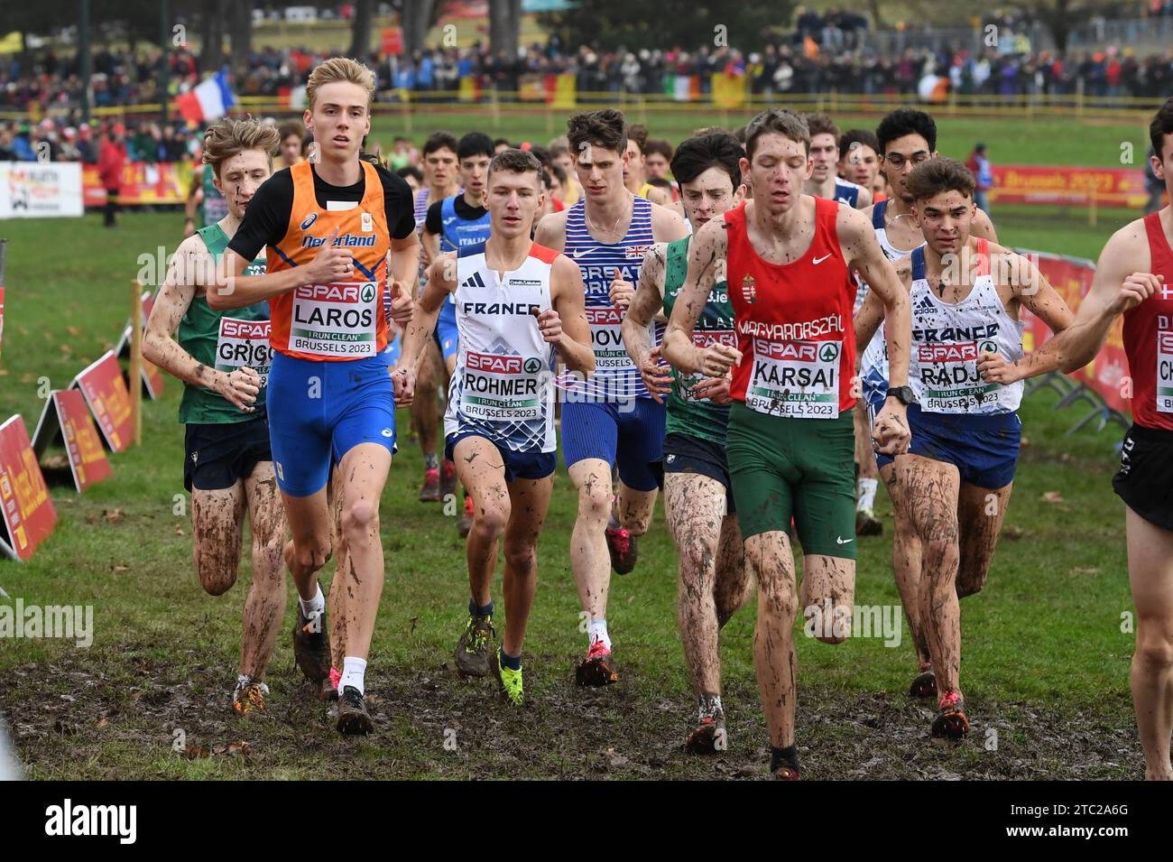 Laros hi-res stock photography and images - Page 2 - Alamy, image size:1300x955