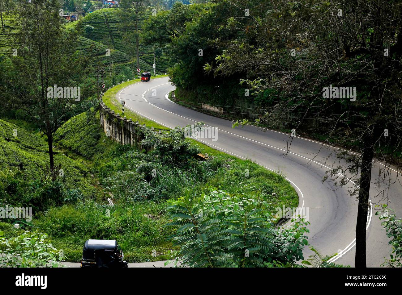 Beautiful in sri lanka hi-res stock photography and images - Alamy
