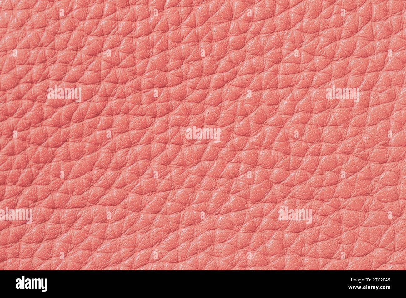 Genuine grainy leather texture closeup, coral peach color, trendy background Stock Photo