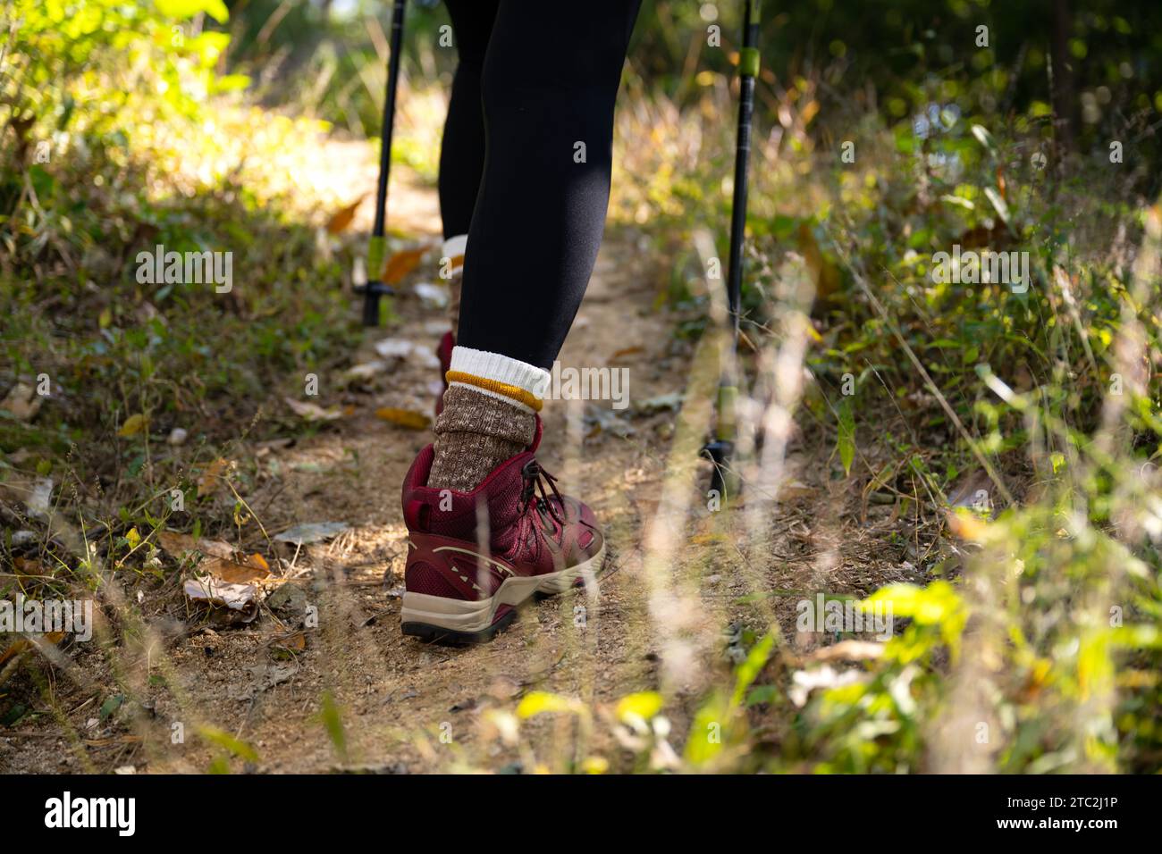 Walking stick feet hires stock photography and images Alamy