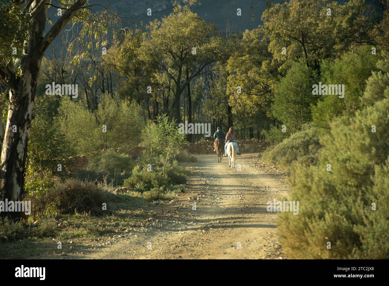 sandrivier safaris