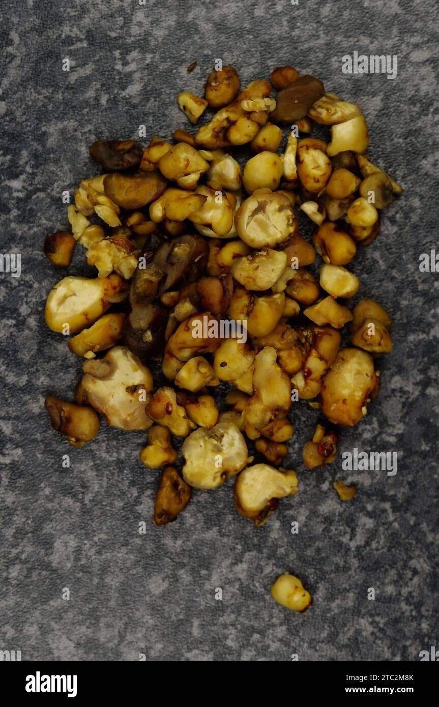 Magic truffles 15 gm [Sclerotia of Psilocybin Mushrooms] MAGIC MUSHROOMS Stock Photo Alamy