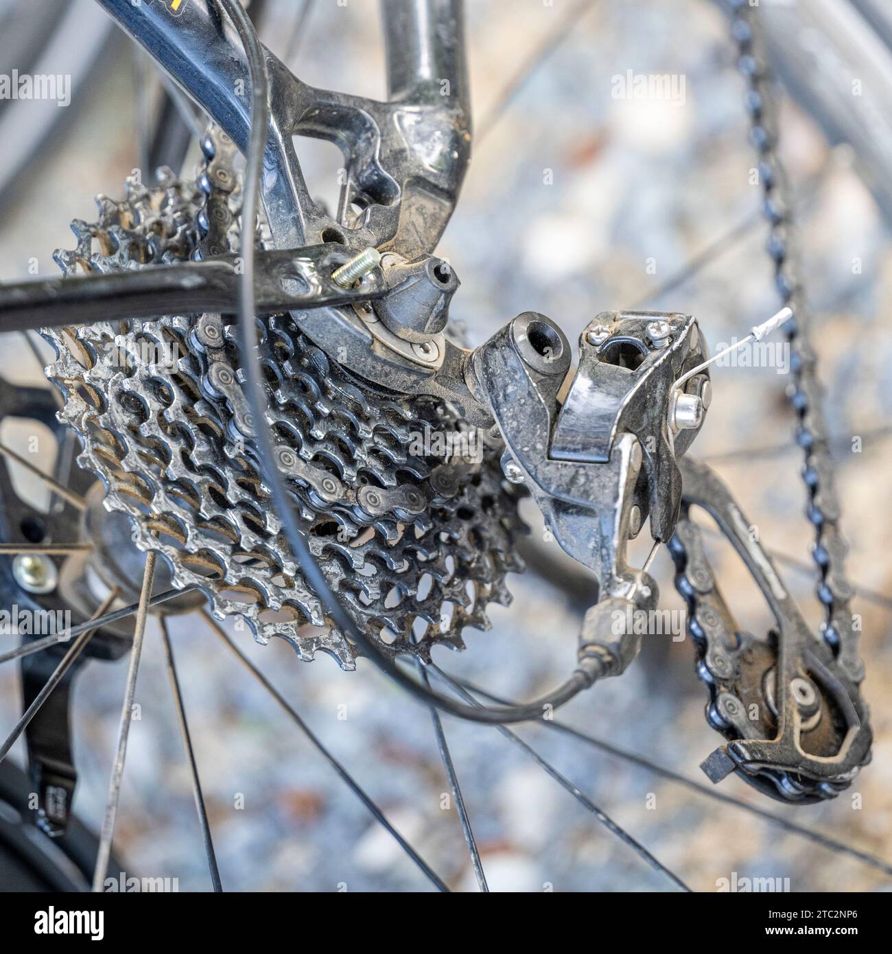 Rear bicycle cog wheels gears, chain and wheel Stock Photo