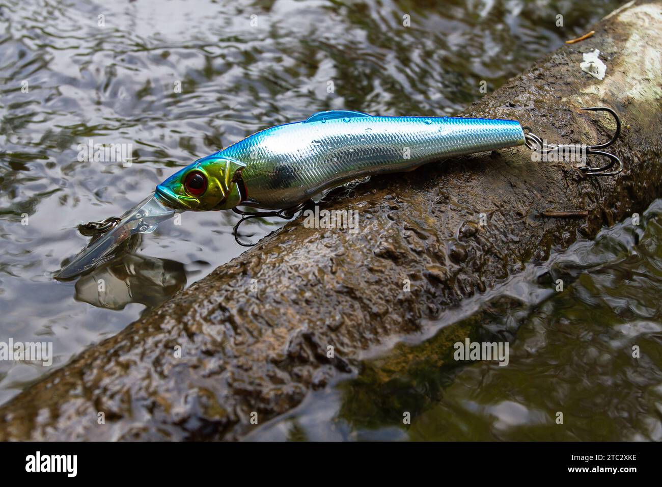 a shiny wobbler lies on an old sunken snag in the river Stock Photo - Alamy