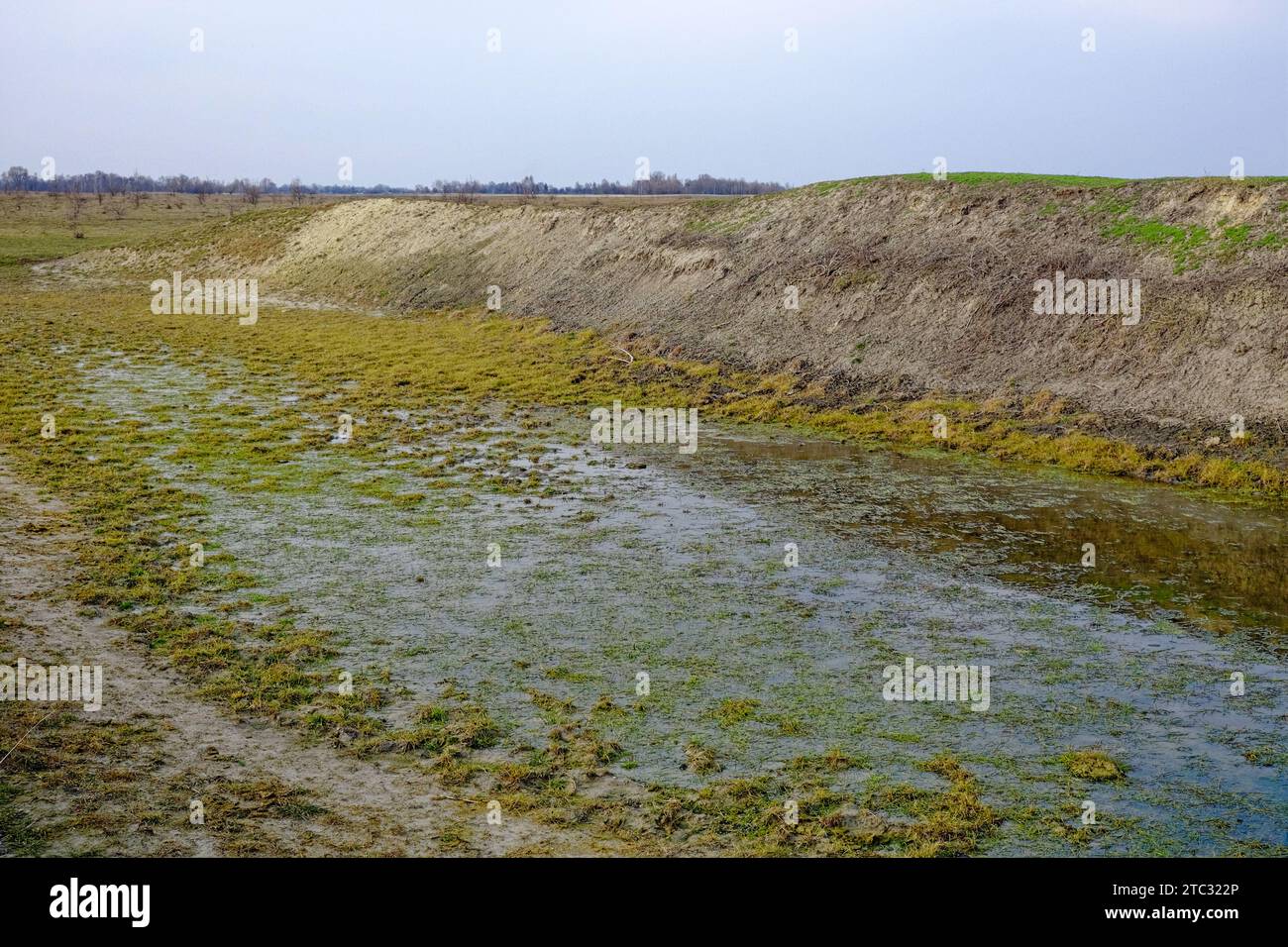 The image showcases a small pond covered in green algae, with a dirt