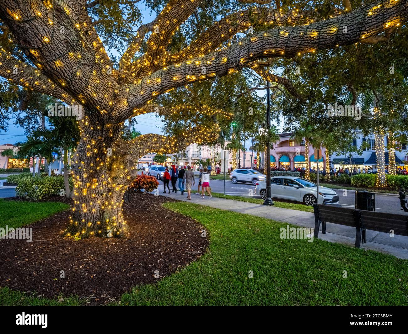 Chistmas lights on West Venice Avenue in downtown Venice Florida USA Stock Photo