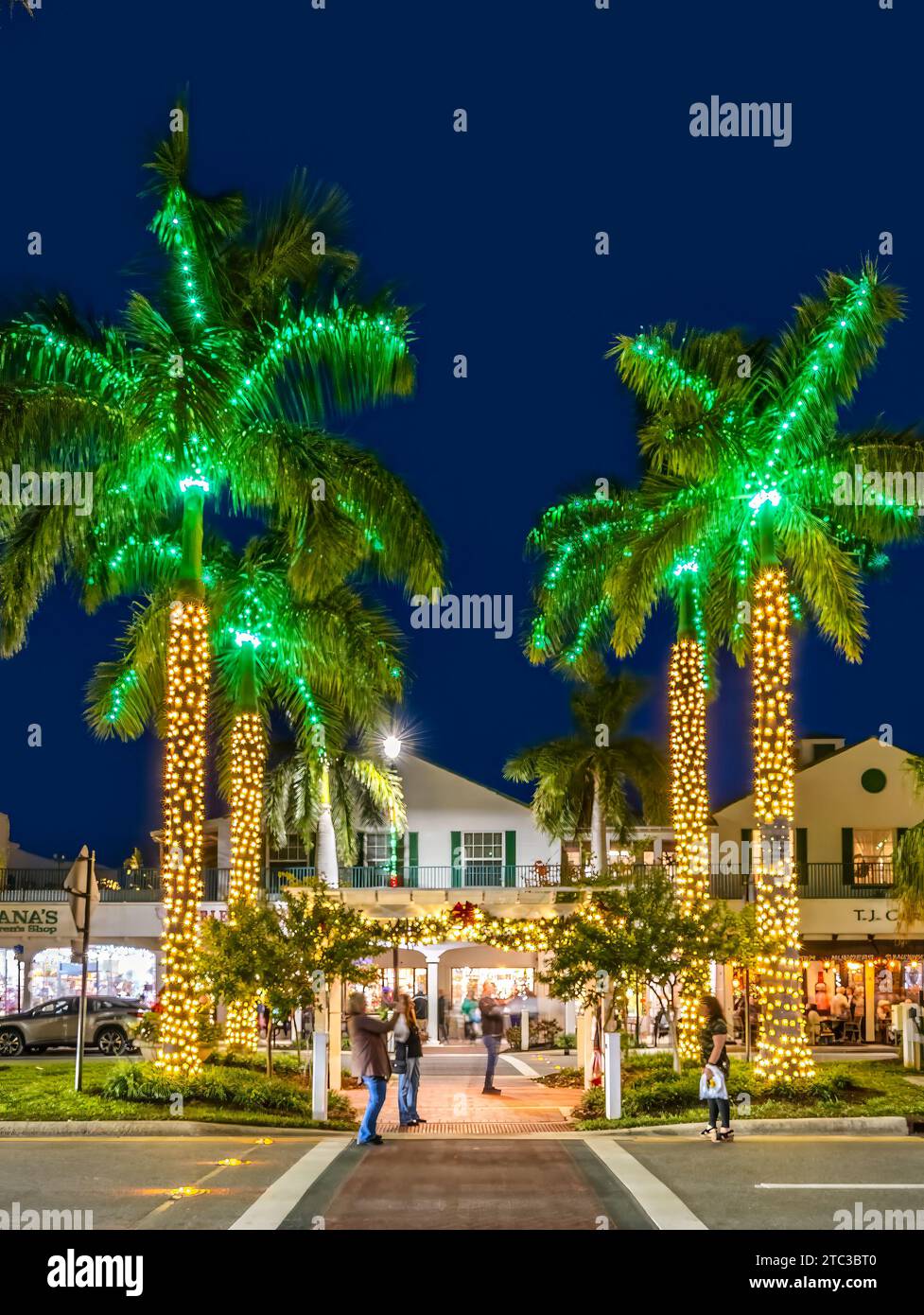 Chistmas lights on West Venice Avenue in downtown Venice Florida USA